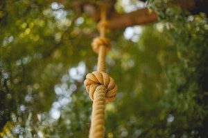 Free Stock Photos for Blogs - Rope Climber 1