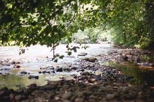 Free Stock Photos for Blogs - Trees and Rocks by the River 1