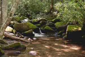 Free Stock Photos for Blogs - Mountain Stream Waterfall 1