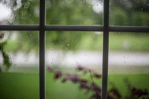 Free Stock Photos for Blogs - Rainy Day Window 1
