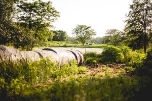Free Stock Photos for Blogs - Hay Bales on the Farm 1