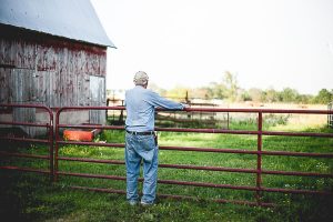 Free Stock Photos for Blogs - Farmer at the Fence 1