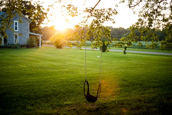 Free Stock Photos for Blogs - Tree Swing 2