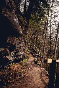 Free Stock Photos for Blogs - Hiking Trail 1