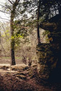 Free Stock Photos for Blogs - State Park 1