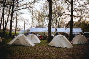 Free Stock Photos for Blogs - Boy Scout Camping Tents 1