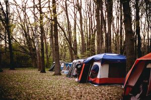 Free Stock Photos for Blogs - Camping Tents 2