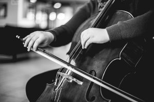 Free Stock Photos for Blogs - Playing the Cello 4