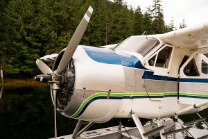 Free Stock Photos for Blogs - Seaplane in Alaska 2