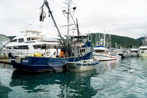 Free Stock Photos for Blogs - Fishing Boats 2