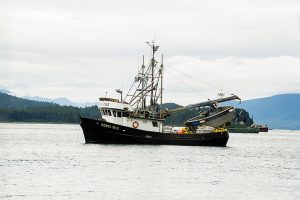 Free Stock Photos for Blogs - Fishing Boats 5